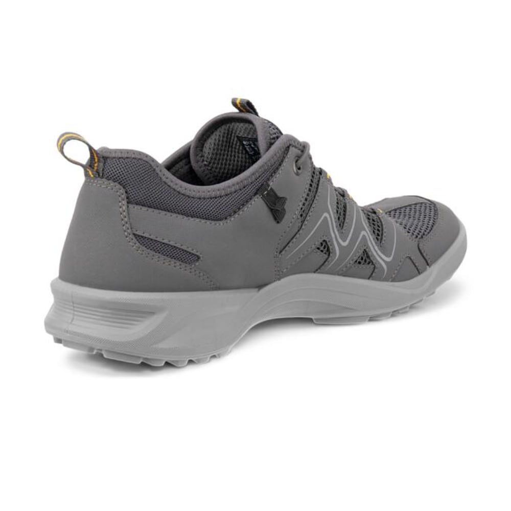 ECCO Terracruise LT Herr Magnet