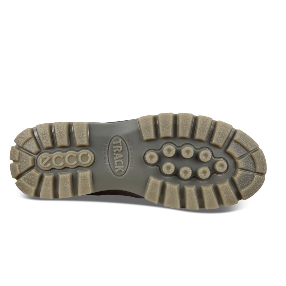 ECCO Track 25 Herr Gore-Tex BisonBison Oil Nubuck