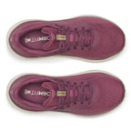 Saucony Echelon 10 Löparskor Dam Terra Almond