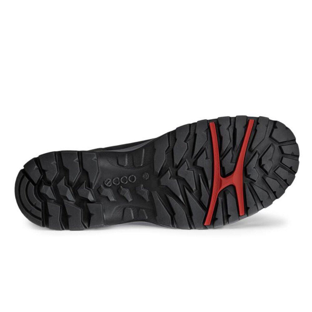 ECCO Xpedition III Vattentäta Varmfodrade Herr Black